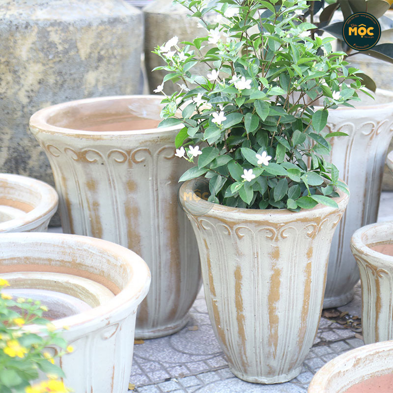 Men Mộc | 3873 Hoa Tulip Cao 27x27x33