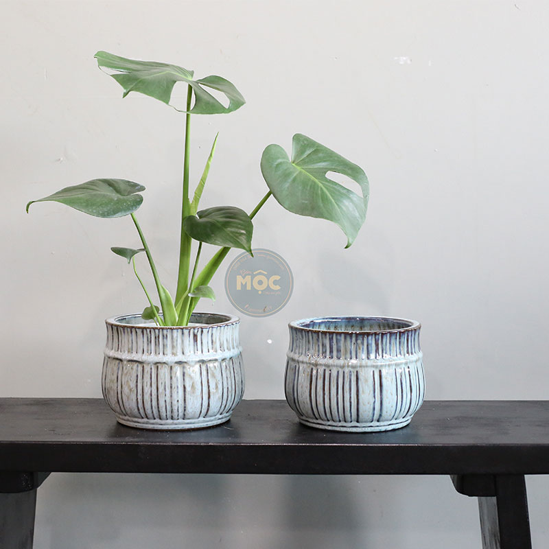 4209 ID Bầu Sọc Thấp 19x19x14