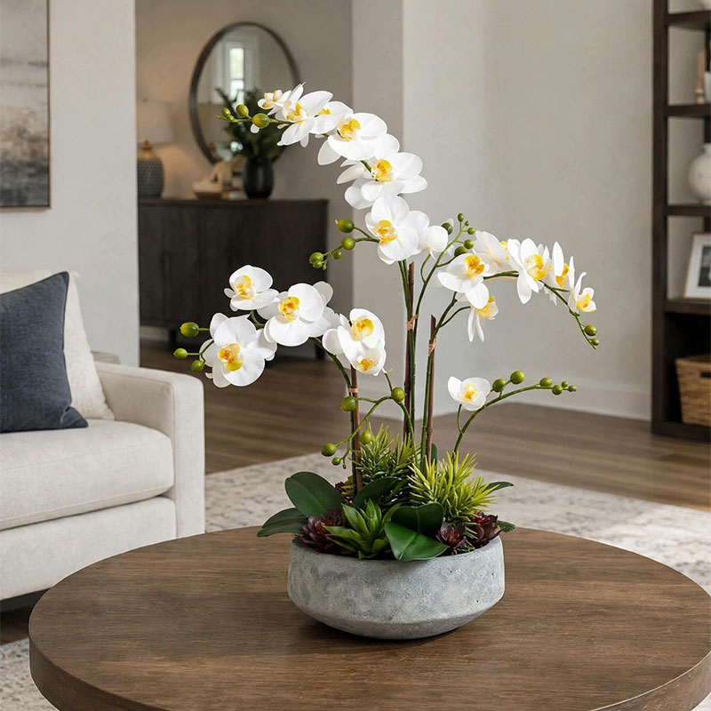 3233 Atlantic Tulip Thấp 44x44x16