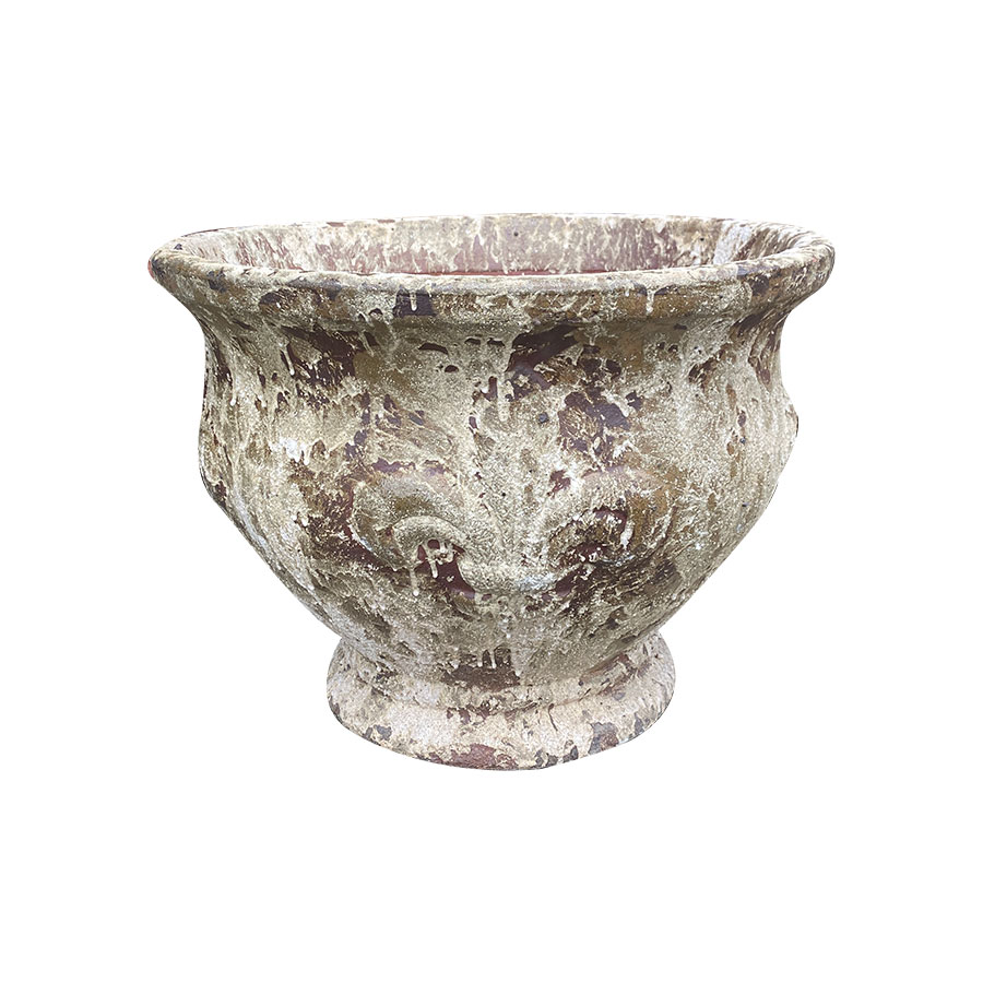 4261 Men Mỹ Thuật Ly Cúp Hoa Diên Vĩ 61x61x44